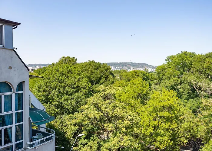 California ヴァルナ